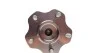 Підшипник маточини CX COMPLEX AUTOMOTIVE BEARINGS Sp.z.o.o. CX 862 (фото 4)