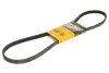 Ремінь генератора 4PK1102 Ducato/Jumper/Boxer/Daily 3.0HDi 06- Contitech 4PK1102 ELAST (фото 4)