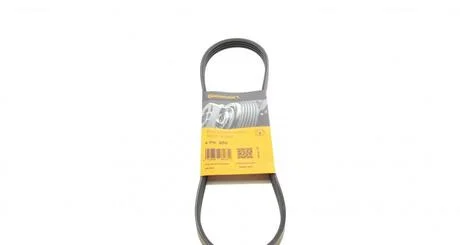 Ремень поликлиновой Contitech 4PK800