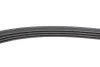 Multi V-Belt Contitech 4PK865ELAST (фото 5)