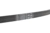 Ремінь генератора поліклиновий Contitech 5PK926 ELAST (фото 2)