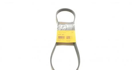 Дорожный ремень Contitech 5PK955