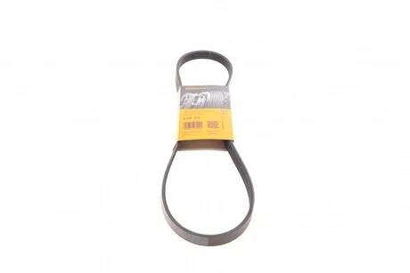Ремінь генератора BMW/Citroen/Daewoo/Fiat/Toyota Contitech 5PK975