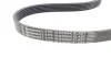 Полікліновий ремінний комплект Contitech 6PK1019 ELAST T1 (фото 8)