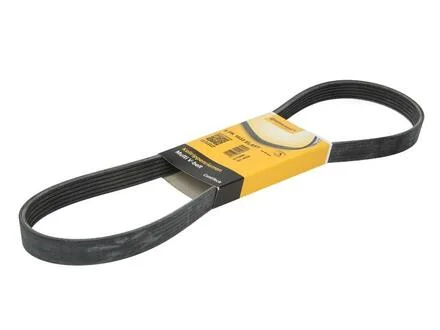 Ремінь поліклінової Contitech 6PK1033 ELAST