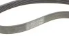 Полікліновий ремінний комплект Contitech 6PK1059 ELAST T2 (фото 10)