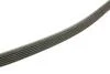 Доріжковий пас Contitech 6PK1073EXTRA (фото 3)