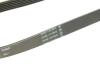 Доріжковий пас Contitech 6PK1073EXTRA (фото 4)