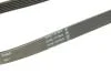 Доріжковий пас Contitech 6PK1073EXTRA (фото 4)