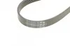 Комплект (ремінь+ролики))) Contitech 6PK1200 K1 (фото 3)