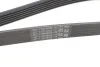 Клиновий ремінь Contitech 6PK1401EXTRA (фото 4)