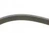 Комплект ремня CONTINENTAL Contitech 6PK1440K1 (фото 2)