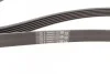 Ремінь генератора Audi/BMW/Skoda/VW Contitech 6PK1733 (фото 2)