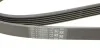 Ремінь генератора Jumpy 1.9D/2.0HDI -07 (+AC) Contitech 6PK1740 (фото 4)