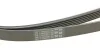 Комплект ременя CONTINENTAL Contitech 6PK2260K1 (фото 9)