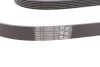 Ремінь генератора Audi A4/A6/MB W203/204/Passat Contitech 6PK2404 (фото 2)