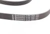 Ремінь генератора Audi A4/A6/MB W203/204/Passat Contitech 6PK2404 (фото 3)