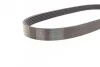 Ремень генератора Jumper/Boxer 2.5TD12.96&gt;00 ALT Contitech 6PK800 (фото 2)