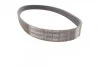 Ремень генератора Jumper/Boxer 2.5TD12.96&gt;00 ALT Contitech 6PK800 (фото 3)