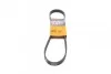 Ремінь генератора Jumper/Boxer 2.0/2.2HDi 06.04- (-AC)/Movano 2.5D Contitech 6PK875 (фото 1)