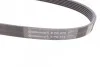 Ремінь генератора Jumper/Boxer 2.0/2.2HDi 06.04- (-AC)/Movano 2.5D Contitech 6PK875 (фото 3)