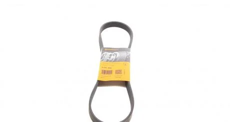 Дорожный ремень Contitech 6PK955