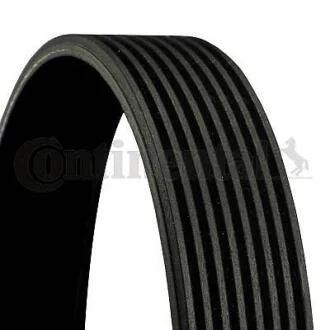 Ремінь поліклиновий Contitech 8PK1162EXTRA