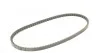 Ремень генератора 13x 875 Daily/LT 2.4D/TD -96 Contitech AVX13x875 (фото 5)