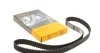 Ремінь ГРМ Combo/Astra G/H 1.7 DI/CDTi 01- CT1014
