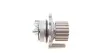 Комплект пасу ГРМ з насосом Audi A4/Skoda Octavia/ Contitech CT1028WP9 (фото 18)