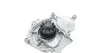 Комплект (ремень+ролик+насос) Contitech CT 1195 WP1 (фото 11)