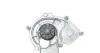 Комплект (ремень+ролик+насос) Contitech CT 1195 WP1 (фото 10)