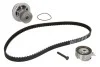Комплект (ремінь+ролик+помпа) CT 874 WP2