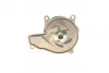 Водяний насос CONTI Contitech WPS3079 (фото 4)