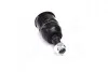 Опора шаровая нижняя Honda Accord 03-08 (выр-во) CTR CB0118 (фото 1)