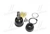 Опора шаровая нижн honda: accord 90-92, prelude 87-92, odyssey 95-98 acura: 3.0cl 97-98, 3.2cl 01-03, 3.2tl 99-03 isuzu: oasis 96-99 CTR CB0142 (фото 4)