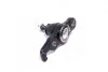 Опора кульова нижня R Hyundai Tucson 05- Kia Sportage 06- CTR CB0203 (фото 2)