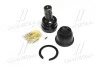 Опора кульова нижня mitsubishi: lancer 00-12, outlander 03-12 peugeot: 4007 07- dodge: caliber 07- jeep: compas 07-, patriot 07- citroen: c-cro CTR CB0257 (фото 1)