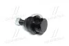 Опора кульова нижня Toyota Land Cruiser Prado 150 09- 4Runner 10- CTR CB0444 (фото 3)