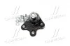 Опора шаровая нижняя L VW Polo 02- Polo 02-09 Fox Audi A2 00-05 Skoda Seat CTR CB0552L (фото 2)