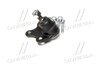 Опора шаровая нижняя L VW Polo 02- Polo 02-09 Fox Audi A2 00-05 Skoda Seat CTR CB0552L (фото 3)