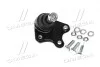 Опора кульова нижня R VW Polo 02- Polo 02-09 Fox Audi A2 00-05 Skoda Seat CTR CB0552R (фото 4)