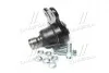 Опора кульова Opel astra g/h, vectra b, omega b, zafira a/b, meriva b CTR CBG-79 (фото 1)