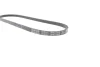Ремінь генератора поліклиновий DAYCO 3PK775EE (фото 4)