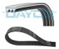 Ремінь поліклінової DAYCO 3PK798EE (фото 1)
