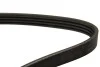 Ремень поликлиновый DAYCO 4PK1260 (фото 4)