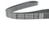 РЕМІНЬ П-КЛИНОВИЙ D5PK1072S DAYCO 5PK1072S (фото 4)