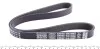 Ремень поликлиновой DAYCO 6PK1029EE (фото 2)