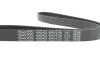 РЕМЕНЬ П-КЛИНОВЫЙ D6PK1073K DAYCO 6PK1073K (фото 4)
