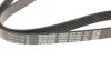 Ремінь генератора DAYCO 6PK1087 (фото 2)